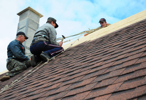Quick and Trustworthy Emergency Roof Repair Services in Aiea, HI